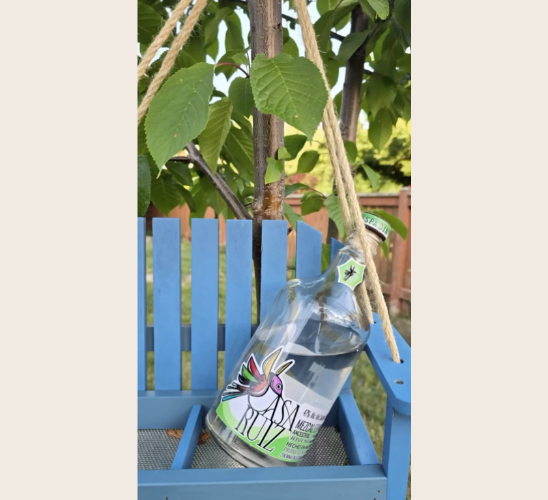 Best Mezcal from the 2026 Latin America World Spirits Competition