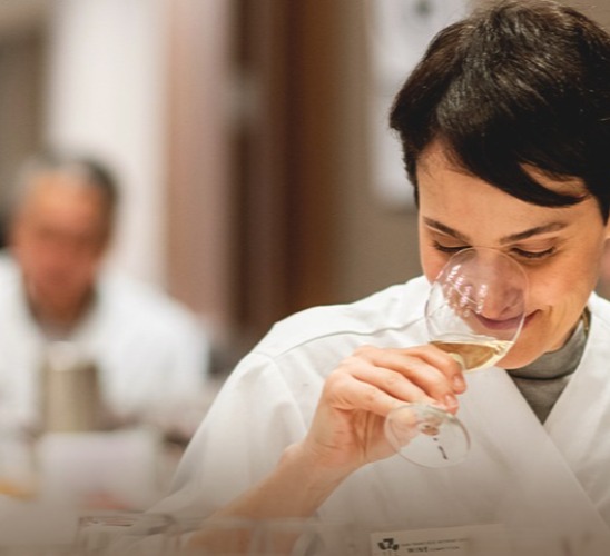 The San Francisco International Wine Competition Judging Process: Blind, Fair, Respected