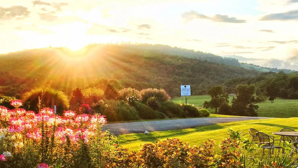 Best Viognier from the 2025 San Francisco International Wine Competition