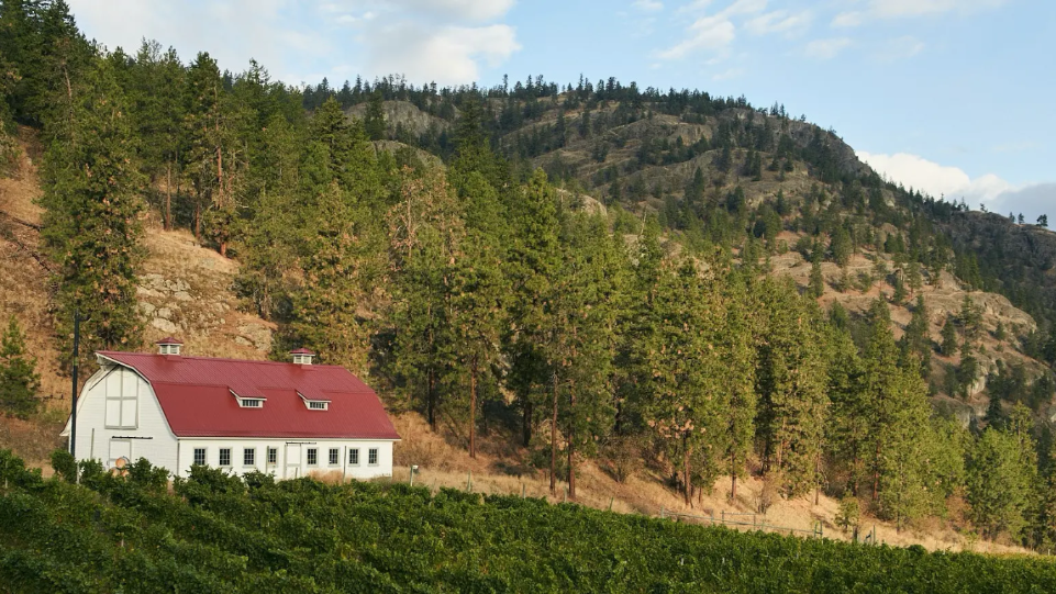 Best Pinot Grigio — 2025 San Francisco International Wine Competition