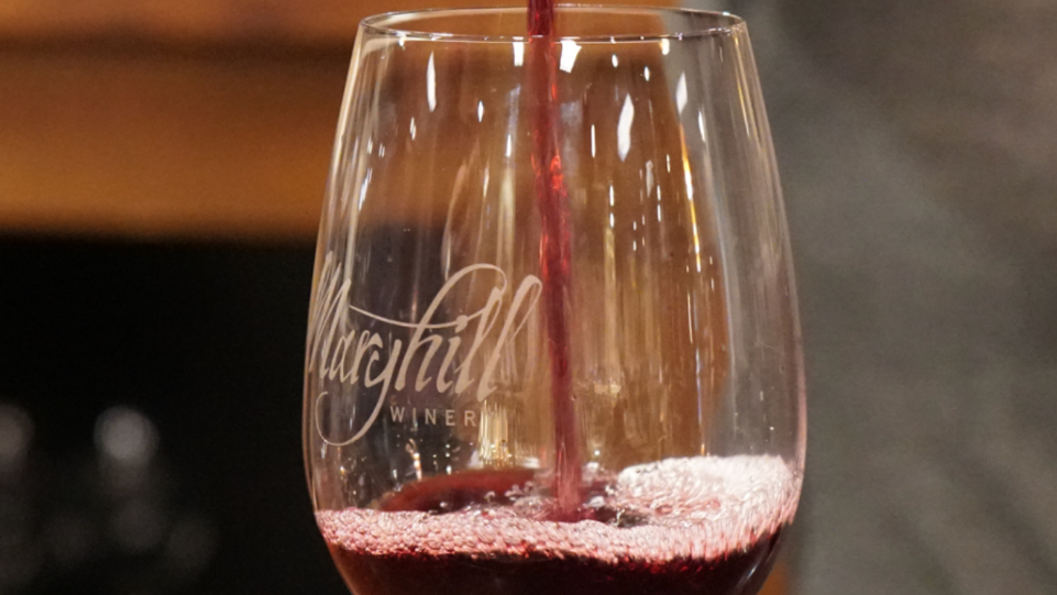 Best Malbec at the 2025 San Francisco International Wine Competition