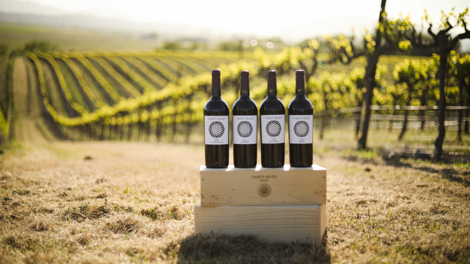 Best Petit Verdot at the 2025 San Francisco International Wine Competition