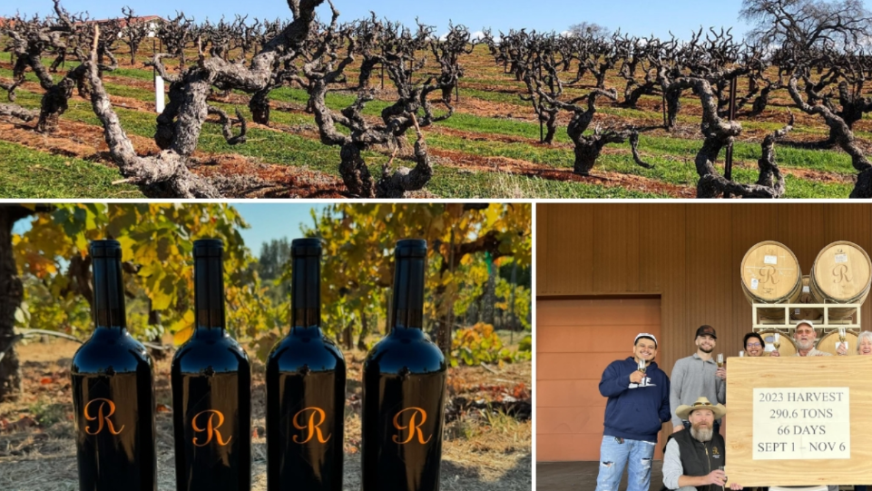 Best Zinfandel at the 2025 San Francisco International Wine Competition