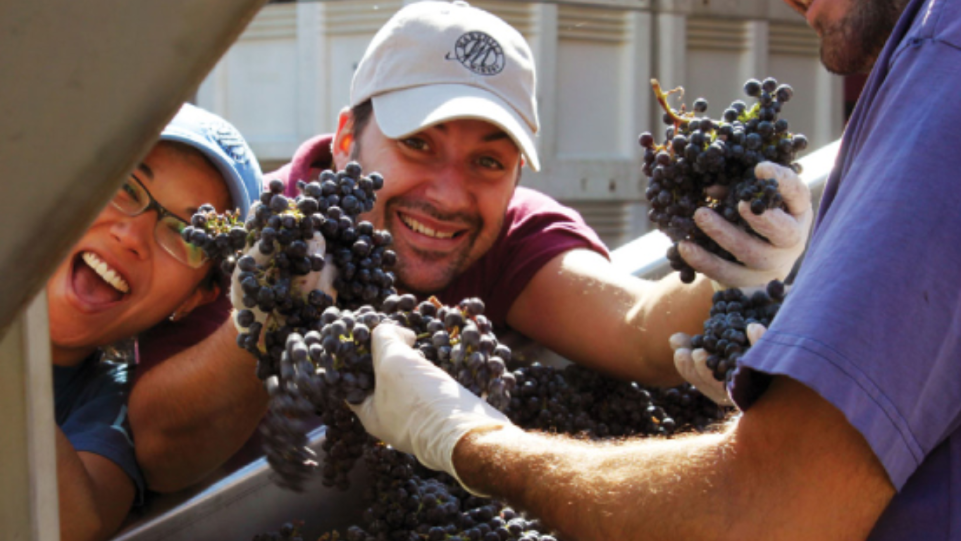 Best Mourvèdre at the 2025 San Francisco International Wine Competition