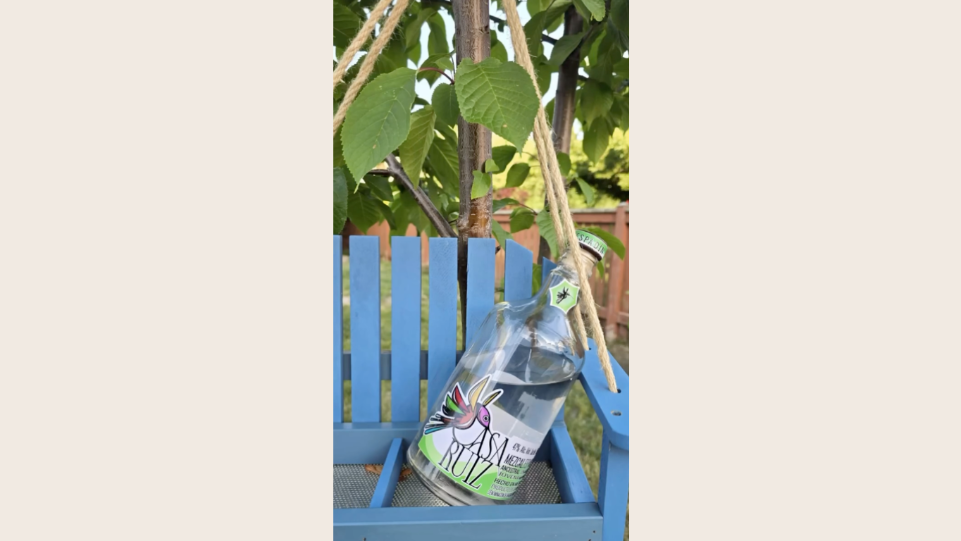 Best Mezcal from the 2026 Latin America World Spirits Competition