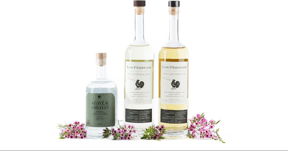 Best Other Agave Spirits from the 2025 San Francisco World Spirits