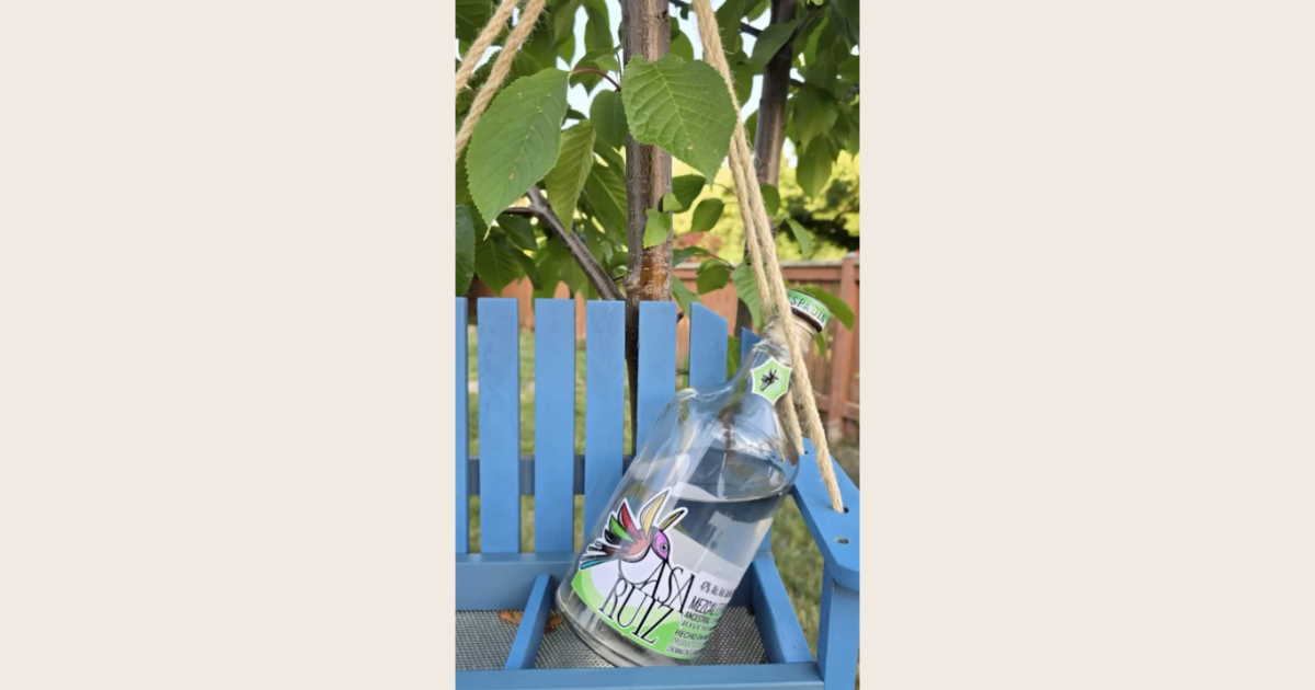 Best Mezcal from the 2026 Latin America World Spirits Competition