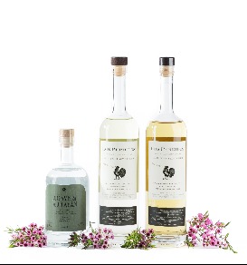 Other Agave Spirits