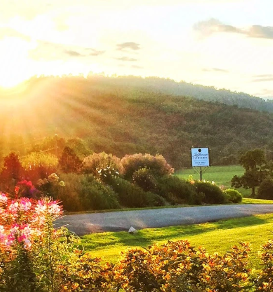 Best Viognier from the 2025 San Francisco International Wine Competition