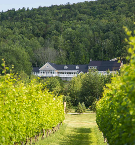 Best White Blends — 2025 San Francisco International Wine Competition