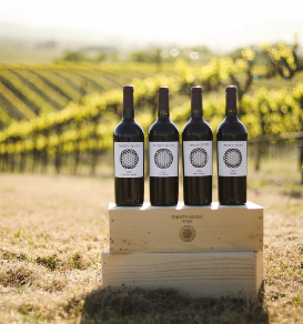 Best Petit Verdot at the 2025 San Francisco International Wine Competition