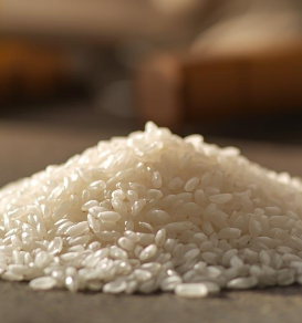 The Art of Sake: A Modern Guide to Japan’s Iconic Brew